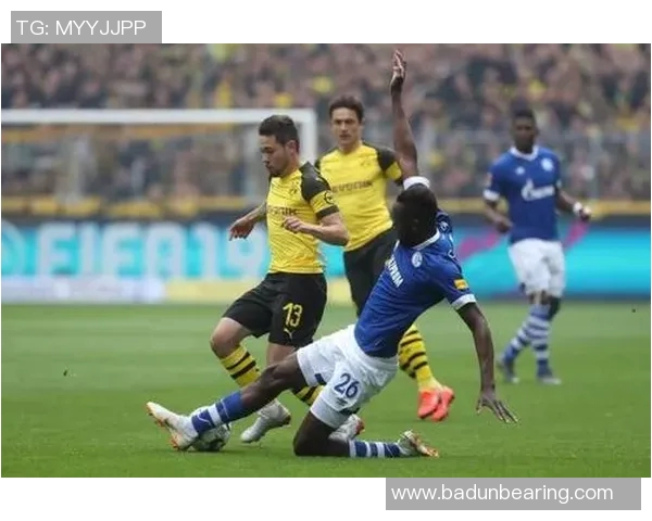 体育实时数据聚焦杭州排球队团队协作精神与默契配合的成功之道