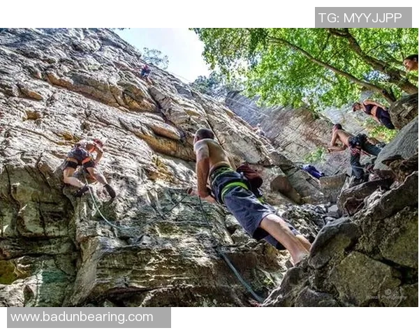 运动数据攀岩大师陈军分享成功秘诀与训练心得的独家专访